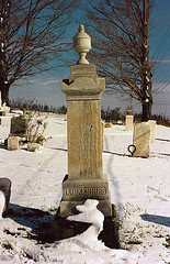 Grave of Teunis Luikenhuis in Clymer, NY.